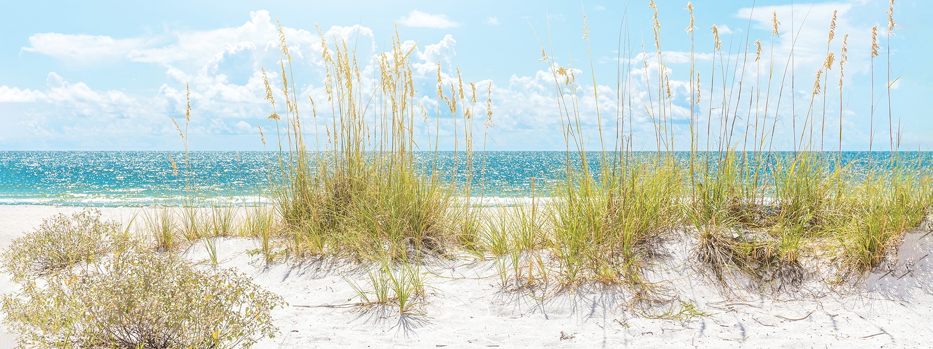Health Benefits Conference and Expo banner